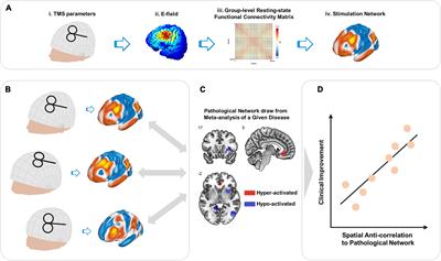 Targeting the pathological network: Feasibility of network-based optimization of transcranial magnetic stimulation coil placement for treatment of psychiatric disorders